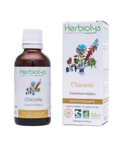 Herbiolys PHYTO Chicorée 50mL BIO - Cichorium intybus BIO, 50 ml